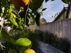 762 E Orange Grove Boulevard 5, Pasadena CA 91104