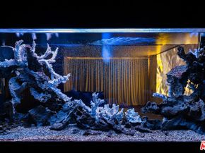 966 Palisades Beach Road, Santa Monica CA 90403