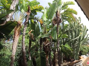 20776 Big Rock Drive, Malibu CA 90265