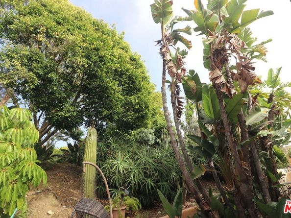 20776 Big Rock Drive, Malibu CA 90265