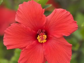 20776 Big Rock Drive, Malibu CA 90265