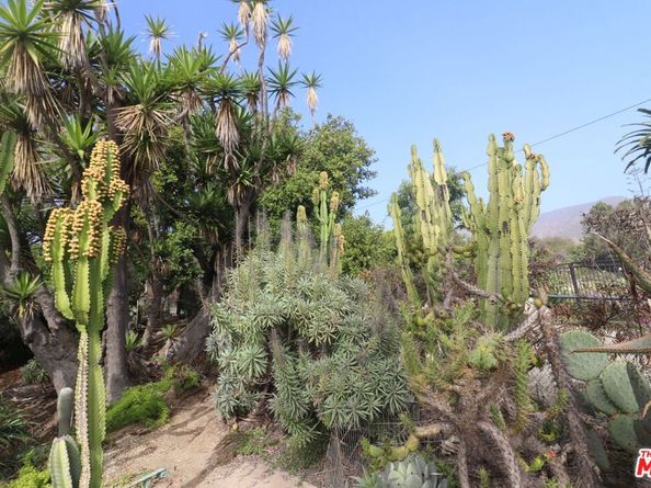 20776 Big Rock Drive, Malibu CA 90265