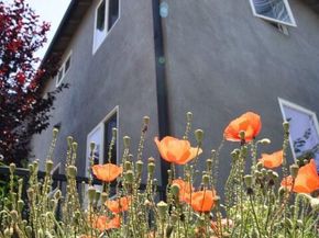 12304 Washington Place, Los Angeles CA 90066