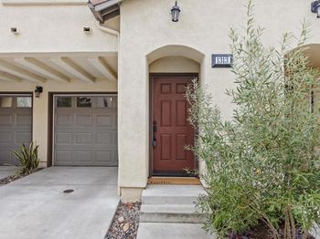 1313 Terracina Ln