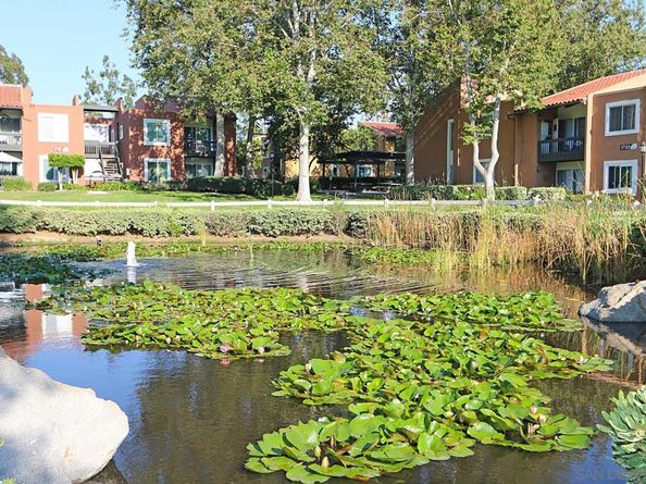 17093 W Bernardo Dr 202, San Diego CA 92127