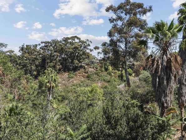 4109 4111 Ibis Street, San Diego CA 92103