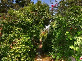 2345 Roscomare Road 205, Los Angeles CA 90077