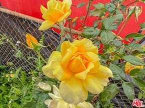 1765 E 113th Street, Los Angeles CA 90059