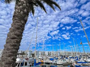 4600 Via Dolce 304, Marina Del Rey CA 90292