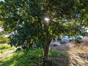 1109 Via La Cuesta, Escondido CA 92029