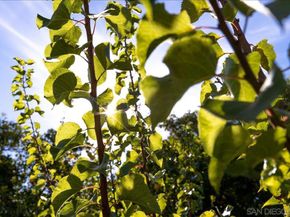 1109 Via La Cuesta, Escondido CA 92029