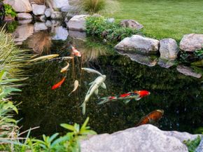 2261 Hercules, Los Angeles CA 90046