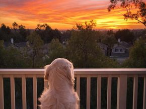 12357 Caminito Peral, San Diego CA 92131