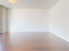 1100 S Hope Street 1111, Los Angeles CA 90015