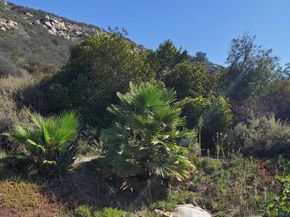 1088 Deer Springs Rd, San Marcos CA 92069