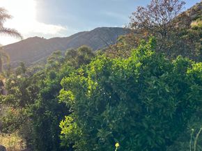 1088 Deer Springs Rd, San Marcos CA 92069