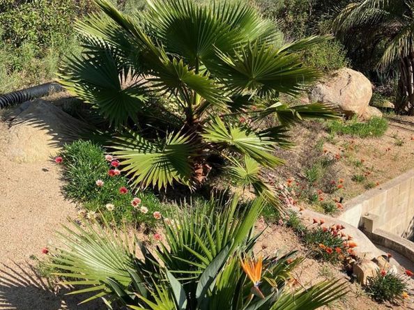 1088 Deer Springs Rd, San Marcos CA 92069