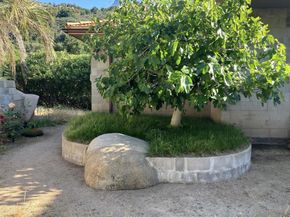 1088 Deer Springs Rd, San Marcos CA 92069