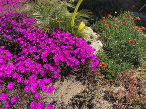 1088 Deer Springs Rd, San Marcos CA 92069