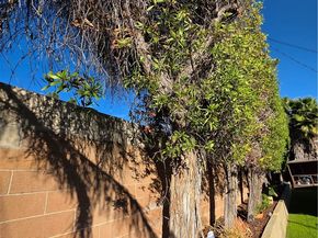 1351 E Bankers Drive, Carson CA 90746