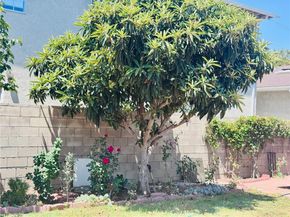 1809 S 5th Street, Alhambra CA 91803