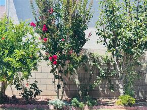 1809 S 5th Street, Alhambra CA 91803