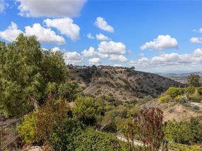 785 S Highland Lane, Anaheim Hills CA 92807