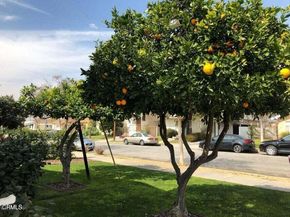 544 Salem Street, Glendale CA 91203