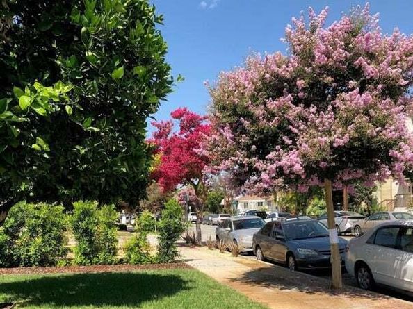 544 Salem Street, Glendale CA 91203