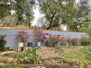 940 Burleigh Drive, Pasadena CA 91105