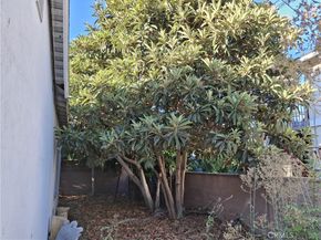 5538 Autry, Lakewood CA 90712