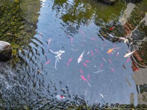 222 S Central 432, Los Angeles CA 90012