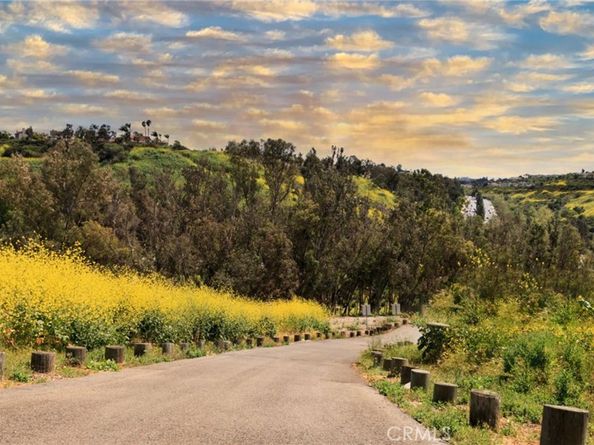 66 Elderwood, Aliso Viejo CA 92656