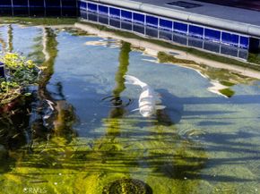 2313 Via Puerta Q, Laguna Woods CA 92637