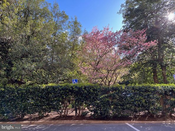4301 NW Massachusetts Avenue NW 5012, Washington DC 20016