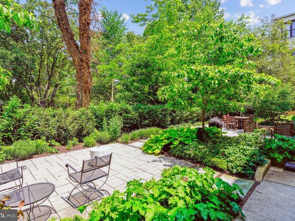 2630 Adams Mill Road NW 302, Washington DC 20009