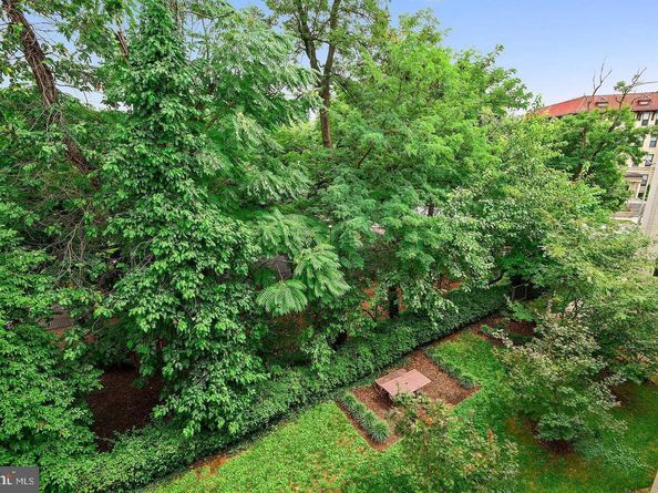 2630 Adams Mill Road NW 302, Washington DC 20009