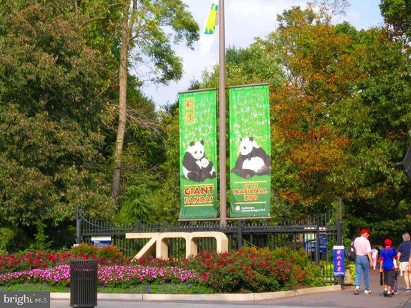 2630 Adams Mill Road NW 302, Washington DC 20009