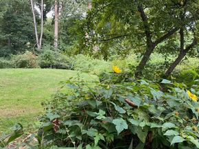 1555 Fieldwood Road, Southampton PA 18966
