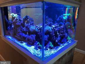 62 Woodside Lane, New Hope PA 18938