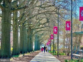 429 N Street SW S510, Washington DC 20024