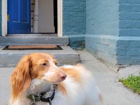 911 Independence Avenue SE, Washington DC 20003