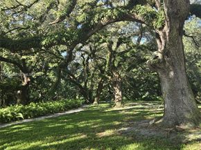 9410 Live Oak Place 103, Davie FL 33324