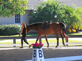 14334 Wellington Trace, Wellington FL 33414