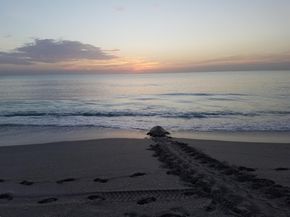 438 River Edge Road, Jupiter FL 33477