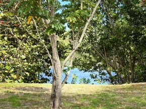 2008 NW 10th Avenue, Fort Lauderdale FL 33311