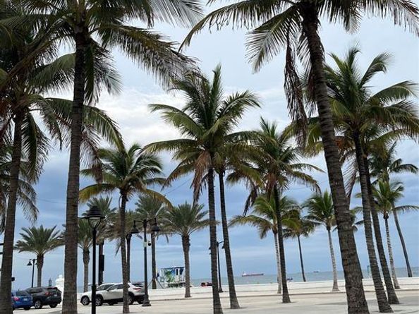 700 Bayshore Dr 9, Fort Lauderdale FL 33304