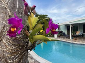 17 SE 9th Ave, Deerfield Beach FL 33441