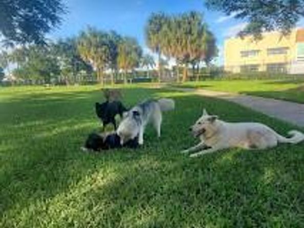 3216 SE 8th St 303, Pompano Beach FL 33062