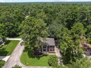 5 Cat Feet Court, The Woodlands TX 77381